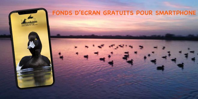 Téléchargez gratuitement des fonds d'ecran 100% chasse